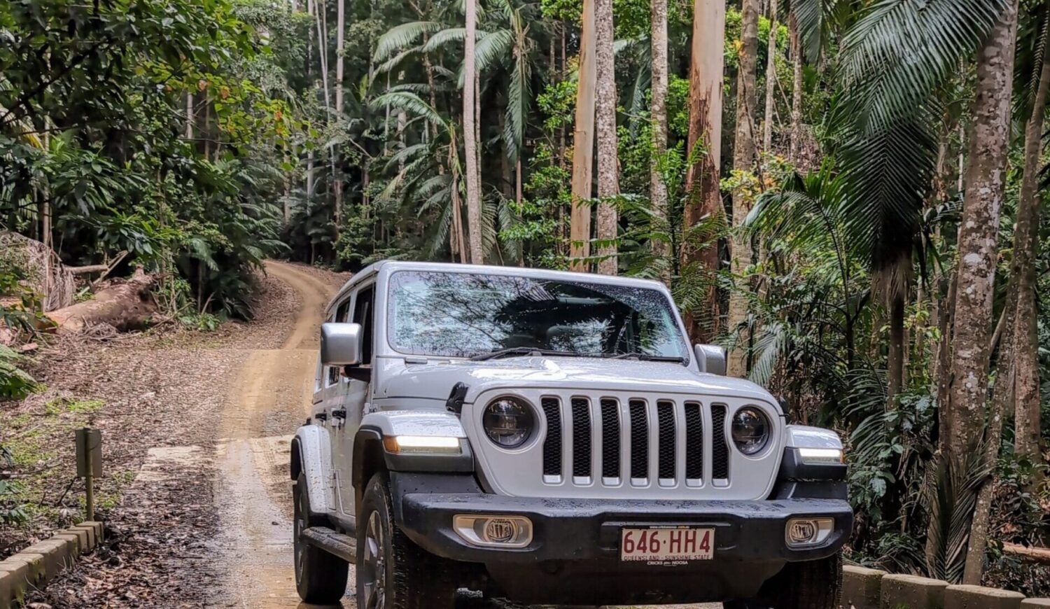 Sunny Jeeps Rainforest Adventure from Narrows Escape Rainforest Retreat